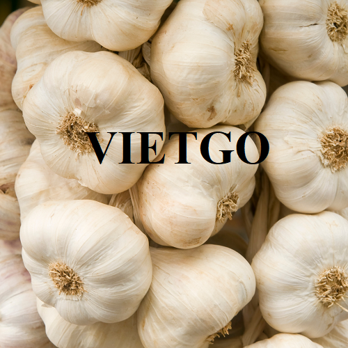 An enterprise in India urgently needs to import white garlic products