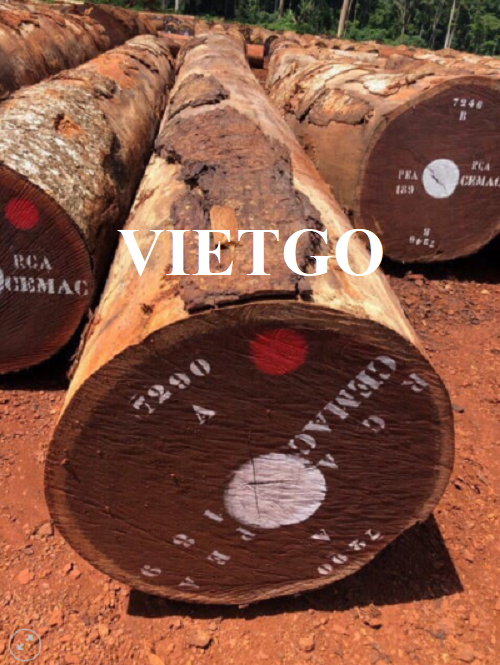 Thương vụ xuất khẩu gỗ xoan đào tròn sang thị trường Bangladesh