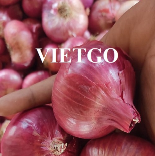 Opportunity to export red onion from an Indian customer