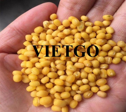 Opportunity to export mung beans to the US market