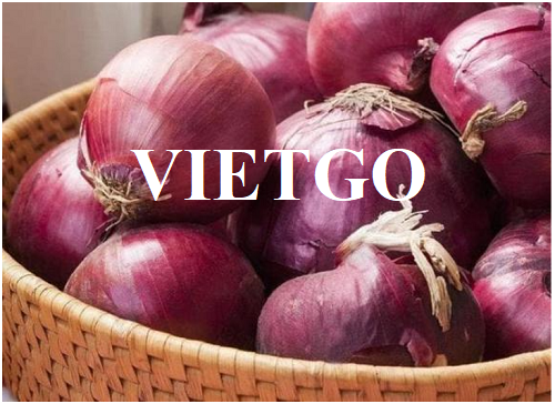 Opportunity to export red onions in large quantities to the Dubai market