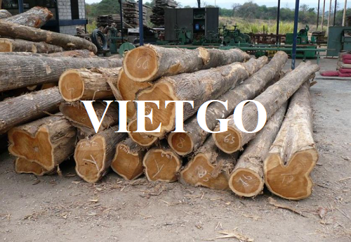 Thương vụ xuất khẩu gỗ xoan đào sang thị trường Ai Cập