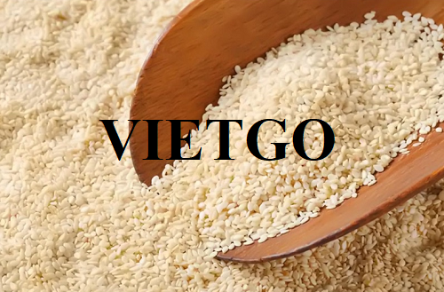 Opportunity to export sesame seeds in large quantities to the Turkish market
