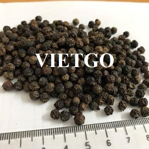 Opportunity to export black pepper to UAE market