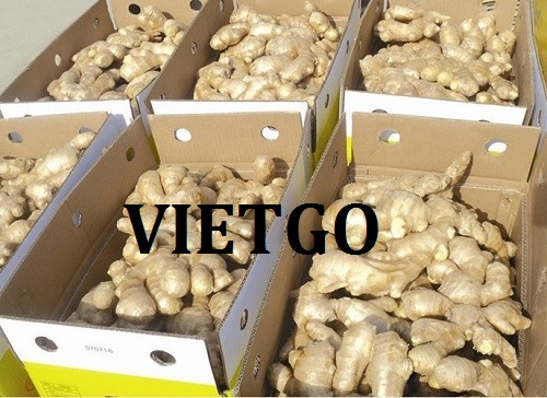 Opportunity to export ginger from a Dubai customer