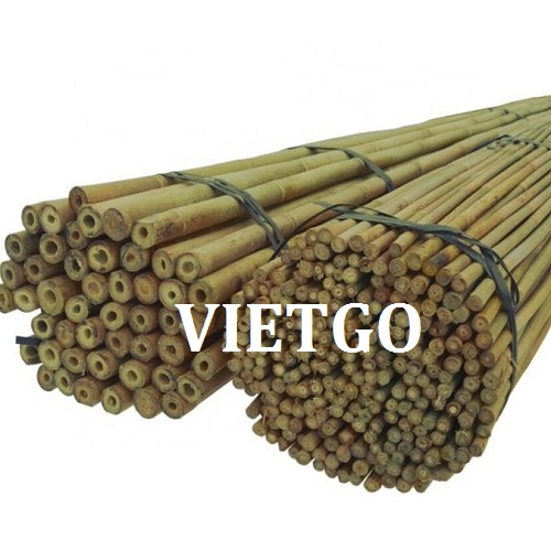 ​Opportunity to export 1 container of 40ft bamboo poles to the Lebanese market