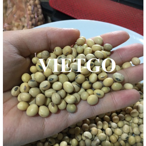 Opportunity to export soybean products to the Chinese markets