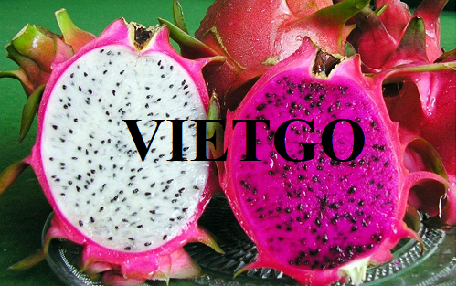 Opportunity to export dragon fruits to the Spanish market