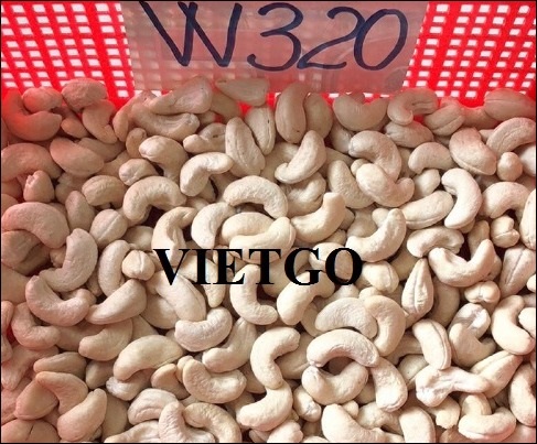 Commercial affair to export white cashew nuts to the Chinese market