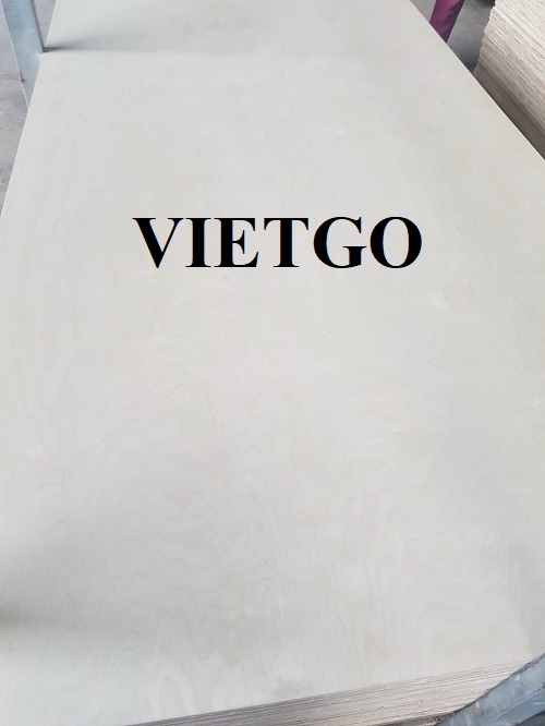 Thương vụ xuất khẩu 2 container 40ft gỗ dán đến từ vị khách hàng VIP của VIETGO