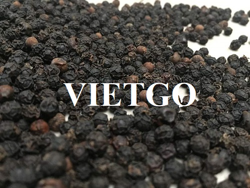 Opportunity to cooperate with an enterprise in China to export black pepper products