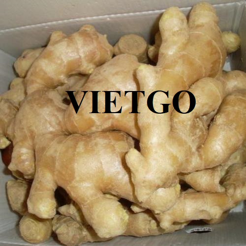 Opportunity to supply fresh ginger products to the UAE market