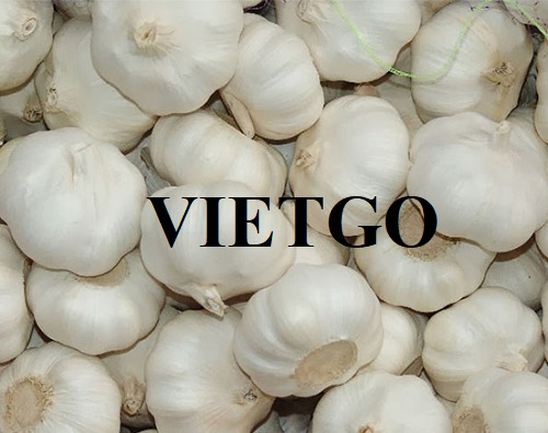 Potential trade opportunity to export white garlic products to the Malaysian market