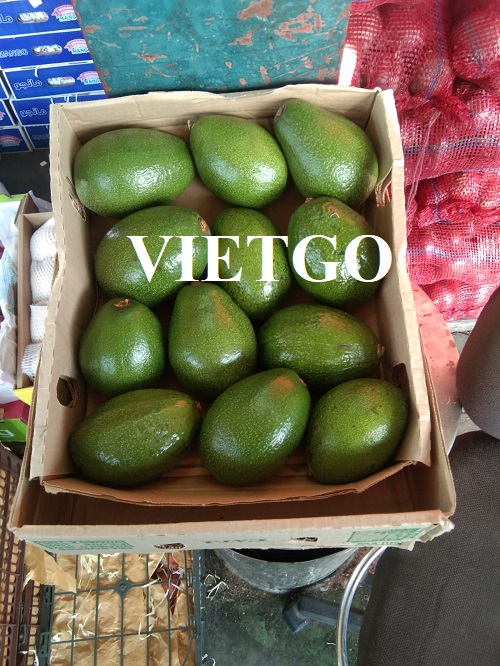 Opportunity to export fresh avocado products to the UAE market