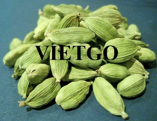 Opportunity for exporting​cardamom products to the Indian market