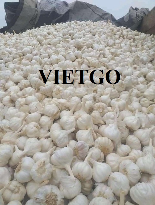 The deal to export fresh garlic to the UAE market