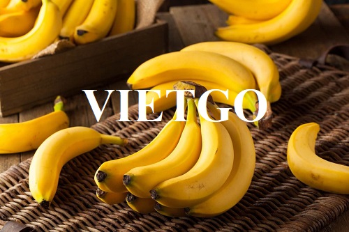 Opportunity to become a supplier for banana export orders to the French market