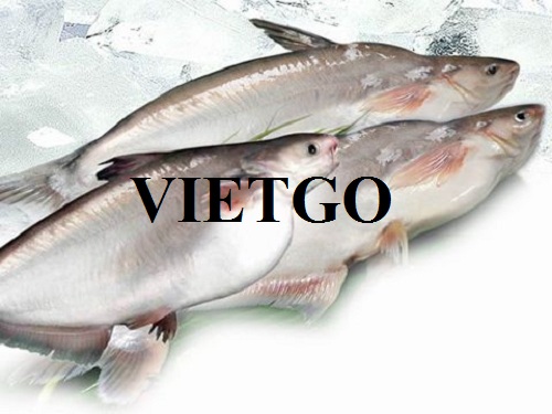 The opportunity to trade and export basa fish comes from a Vietnamese customer