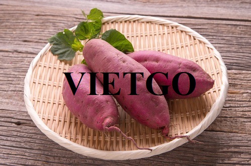Cooperation deal with a Vietnamese enterprise for the export order of sweet potatoes to the Korean market