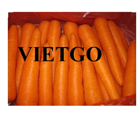 Cooperation opportunity with a UAE enterprise for an order to export carrots