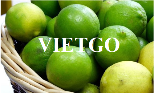 Cơ hội hợp tác với thương nhân Việt Nam cho đơn hàng xuất khẩu chanh tươi với số lượng lớn sang thị trường Trung Quốc