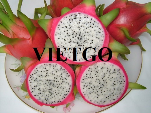 Opportunity to export dragon fruit products to the Chinese market