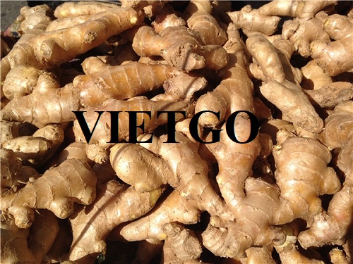 Opportunity to cooperate with a business in Oman for ginger product export orders