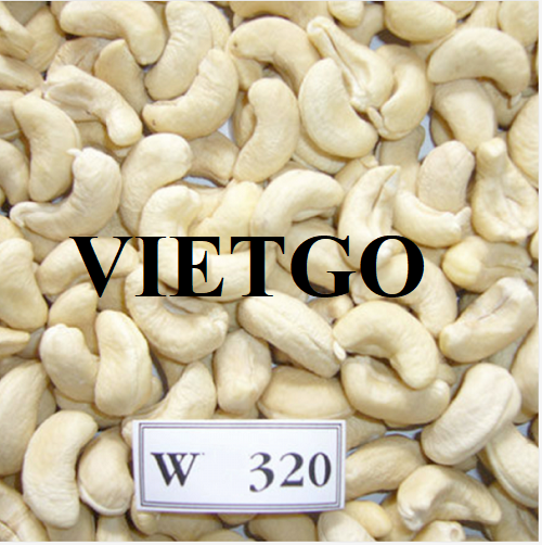 Opportunity to export cashew nuts in large quantities to the Iraqi market