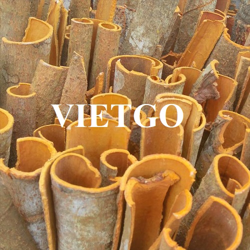 Cơ hội hợp tác với doanh nghiệp tại Việt Nam để xuất khẩu sản phẩm quế, hồi