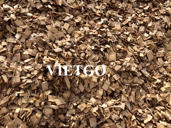 The Chinese partner plans to import 40,000 tons of wood chips for the upcoming pulp production project
