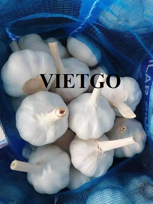 Opportunity to cooperate with an Indian customer for garlic products