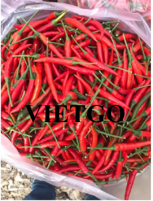(Gấp) Cơ hội hợp tác với thương nhân Việt Nam cho đơn hàng xuất khẩu ớt sang thị trường Nhật Bản và châu Âu