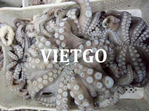 Opportunity to export frozen octopus products for a Canadian partner