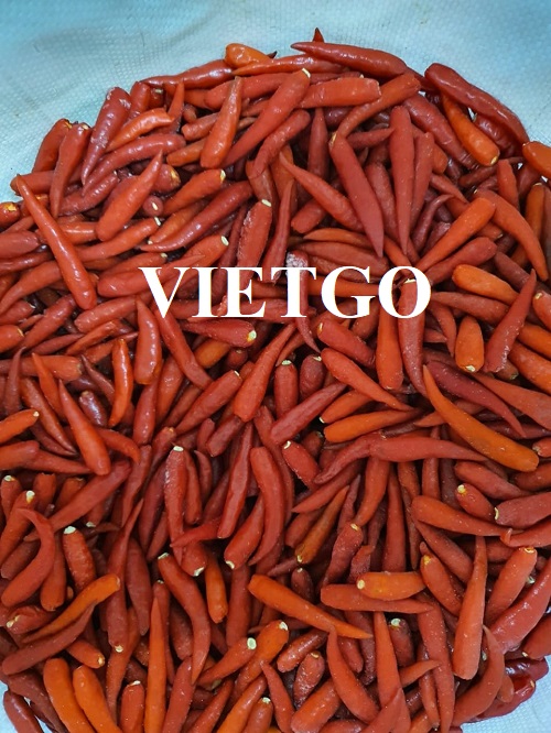 Opportunity to cooperate in exporting frozen chili to the South Korean market