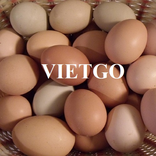 Opportunity to become a supplier for the export order of chicken eggs to the Russian market