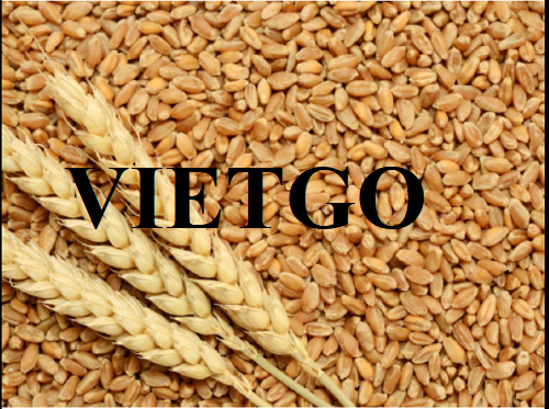Opportunity to export wheat to the Turkish market