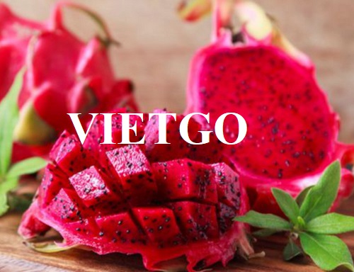Opportunity to become a supplier for the export order of dragon fruit to the US market