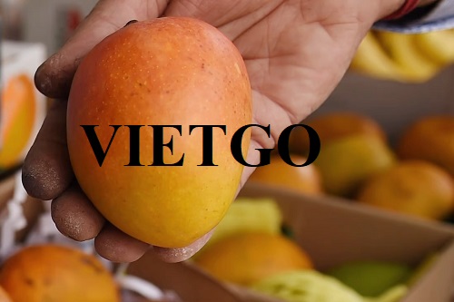 Opportunity to export mango products to Maldives market