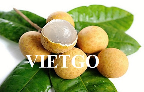 Opportunity to become a supplier for the export order of longan to the US market
