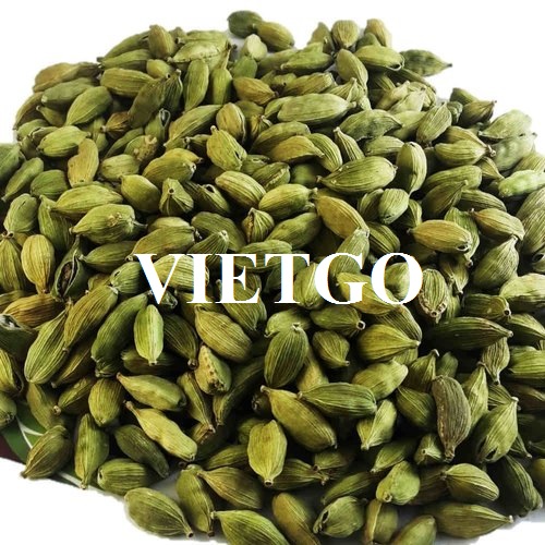 Cooperation affair with a UAE enterprise for an order to export green cardamom