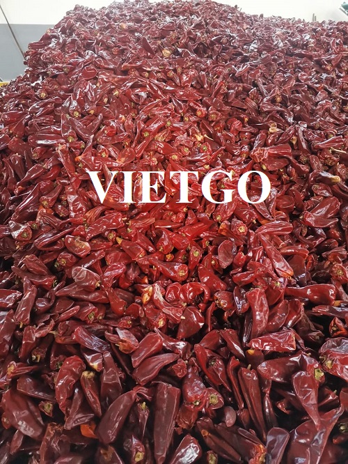 Cơ hội hợp tác xuất khẩu ớt khô cho một doanh nghiệp tại Singapore