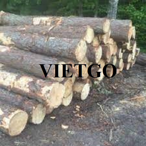 The export deal of pine wood logs to the Bangladeshi market