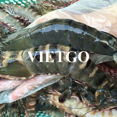 Opportunity to export 1 40ft container of frozen black tiger shrimp per week to the US market