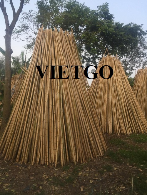 Opportunity to supply 1 container of 20ft bamboo canes to the Turkish market