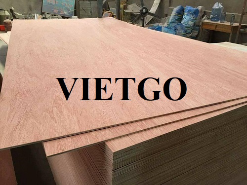 A young Indian trader needs to find plywood supplier