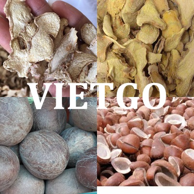 Thông báo: Vị khách hàng quen thuộc của VIETGO đến từ Ấn Độ sắp có chuyến công tác tại Việt Nam để gặp gỡ trực tiếp các nhà cung cấp tiềm năng cho sản phẩm dừa khô và gừng khô