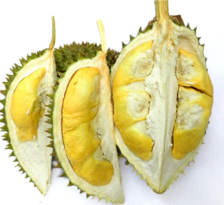 Ben Tre Durian: The Cai Mon Specialty – Refined Flavors from Alluvial Soil