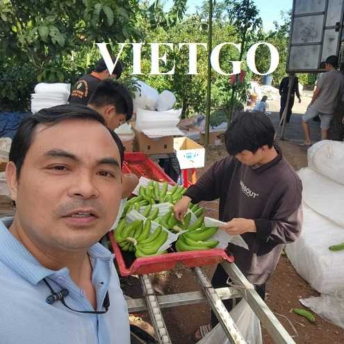 CHÚC MỪNG CÔNG TY CỔ PHẦN THƯƠNG MẠI KỸ THUẬT XÂY DỰNG TRƯỜNG LƯU VI NA XUẤT KHẨU THÀNH CÔNG ĐƠN HÀNG CHUỐI CAVENDISH ĐẦU TIÊN TỚI THỊ TRƯỜNG UZBEKISTAN