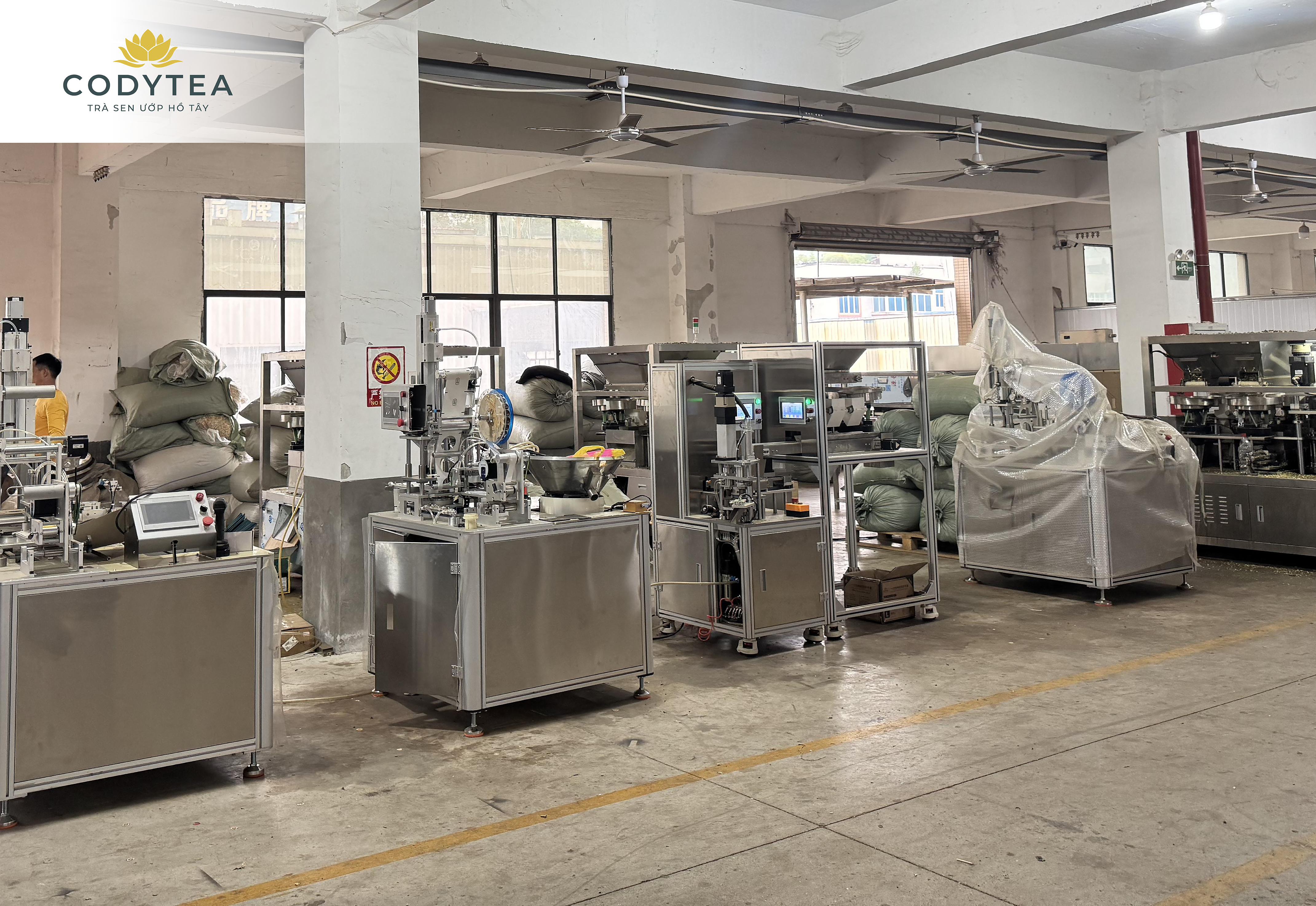 CODYTEA THAM QUAN VÀ HỌC HỎI CÔNG NGHỆ SẢN XUẤT TRÀ TẠI PHÚC KIẾN