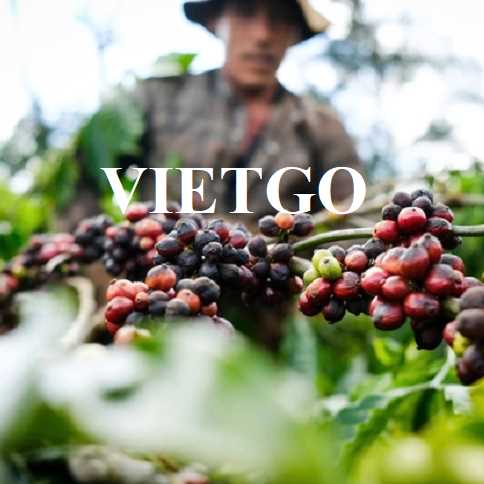 Doanh nghiệp Việt tìm cơ hội xuất khẩu giữa xung đột Trung Đông